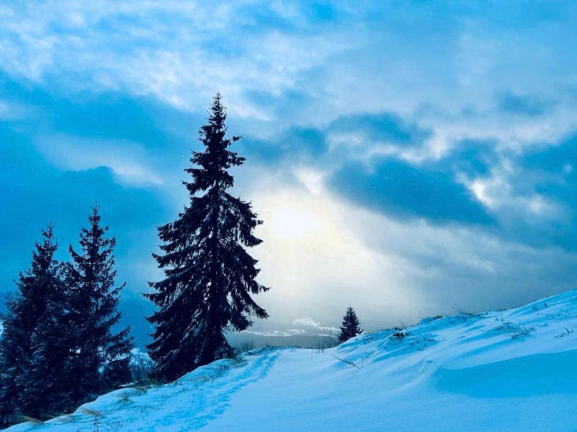 Tiarra Mountain Lodge Beliş Eksteriør bilde