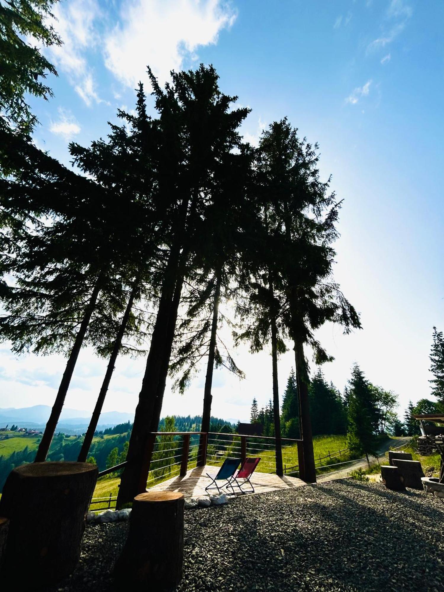 Tiarra Mountain Lodge Beliş Eksteriør bilde