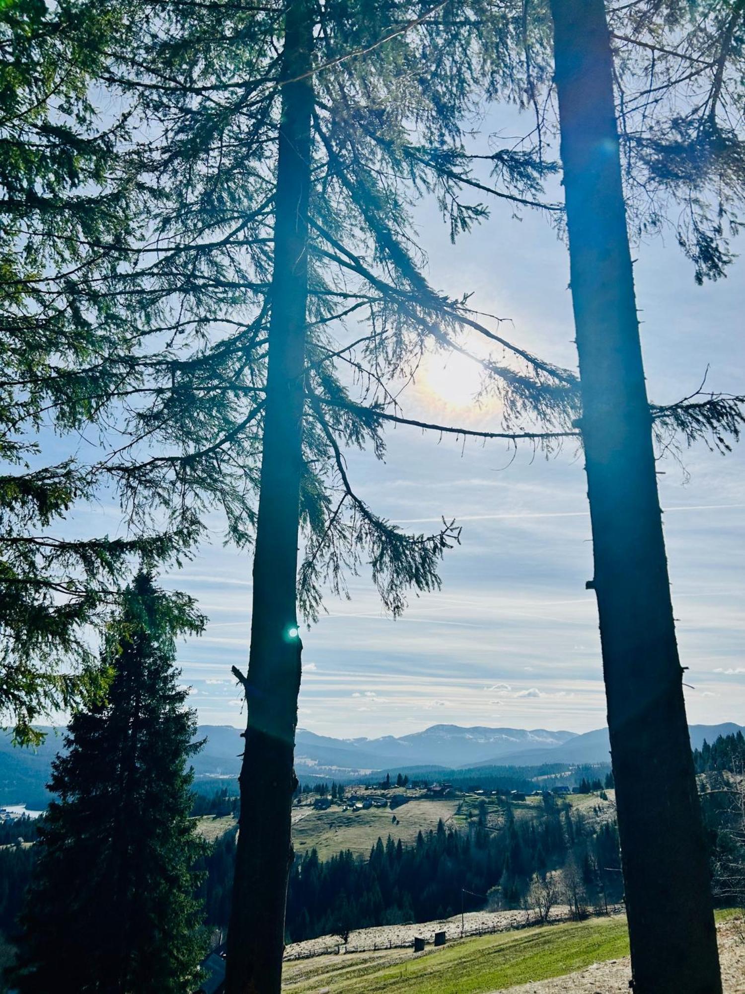 Tiarra Mountain Lodge Beliş Eksteriør bilde